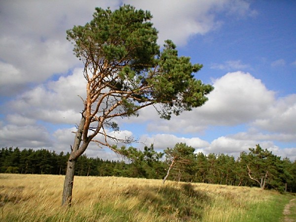 Len tak pre potešenie.